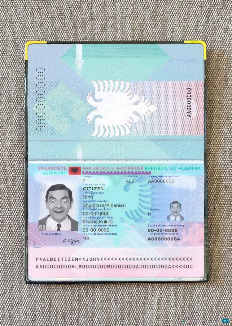 Download Albania passport photo look Photoshop template